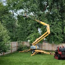 Best Commercial Tree Services  in Linden, AZ